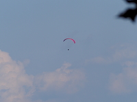 paraglider.jpg